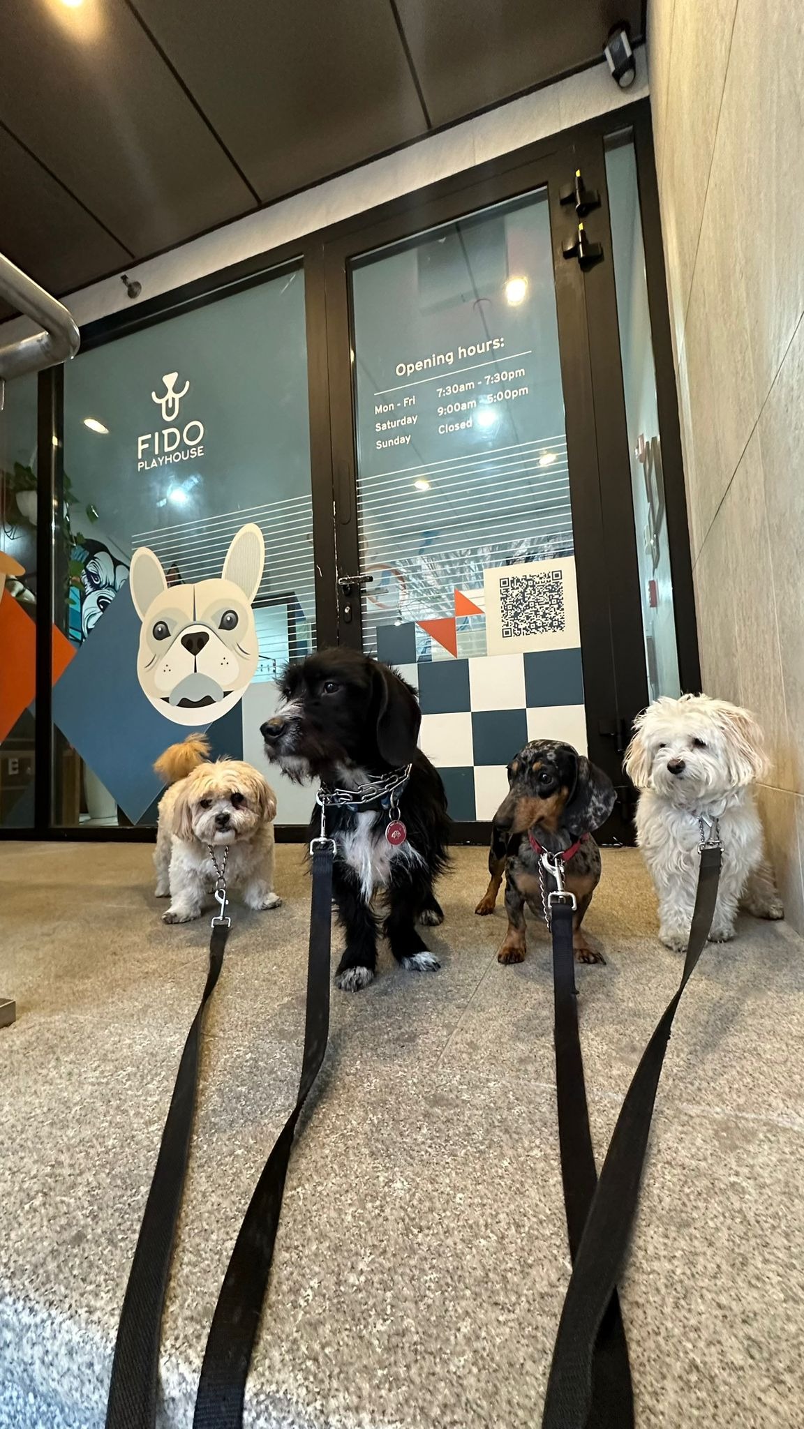 Fido Playhouse — 25cb0a2f-c655-430e-8945-870dc1c531a9-m5KrOKZoRribMaag