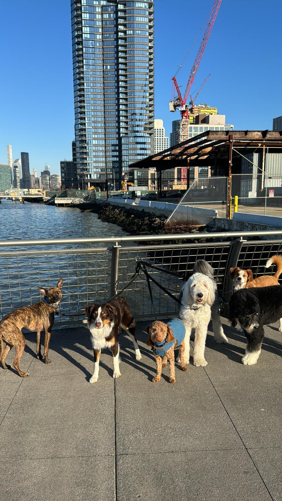 Fido Playhouse — 26f8a960-81ee-46af-87a2-a9ef197f48fd-A85r751PBqF0yrnk